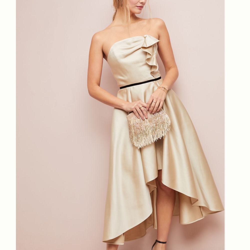 NWT, Size 6 Shoshanna Potala Ball Gown/Anthropologie